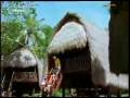 Visit Indonesia Year 2008 TVC Butterfly 60