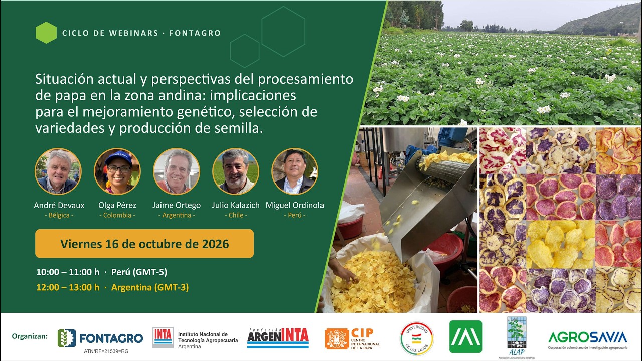 Webinar | Situación actual y perspectivas del procesamiento de papa en la zona andina