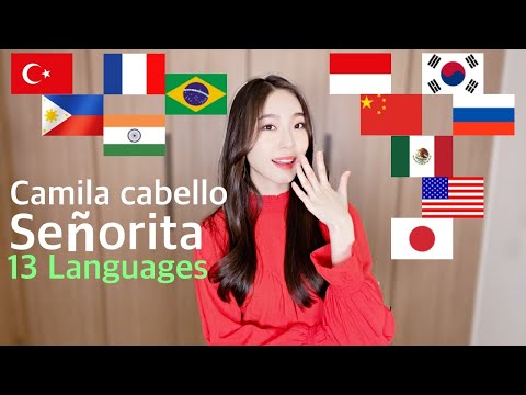 Señorita - 1 GIRL 13 different Languages Multi-Language (cover by MiRae Lee)