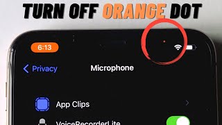 How to Turn Off Orange Dot on iPhone