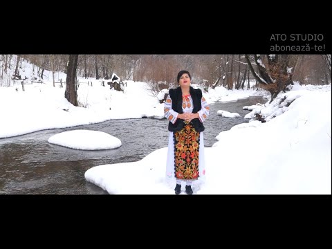 Diana Selagea  - Satul meu