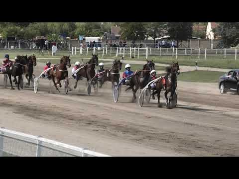 Trka "Tolouse" 16 09 2018 Cybele De Ted-Aleksandar Bogdanović