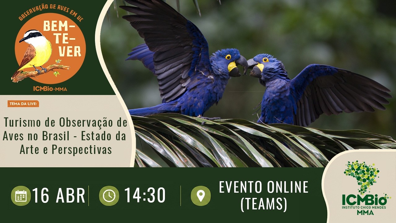 3º Bem-te-ver | Turismo de Observação de Aves no Brasil: onde estamos e como alçar voo