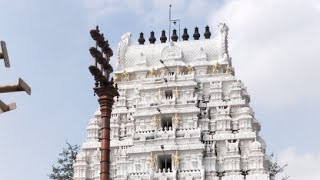 preview picture of video 'Vedanarayana Swamy Temple History, Nagalapuram'