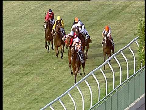 Galoppo 14/03/2019 - 6ª corsa