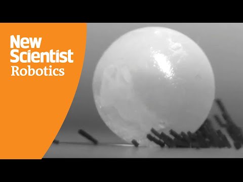 Tiny Robots Swarm Together in an Act of Strength
