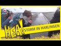 HEA! Storm in Harlingen