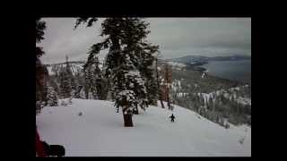 Quail Face... No Place to fall [HD]