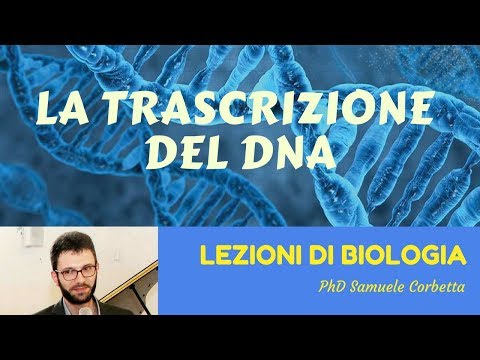 Erbe allevia il dolore alle articolazioni Gallina giunto gonfio