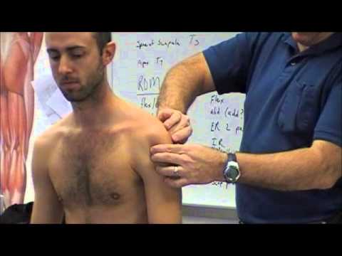 Palpation and Observation of the Shoulder Complex