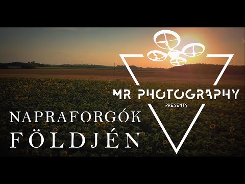 Napraforgók földjén - Csodálatos Magyarország madártávlatból - 4.rész - Drónvideó - 4K
