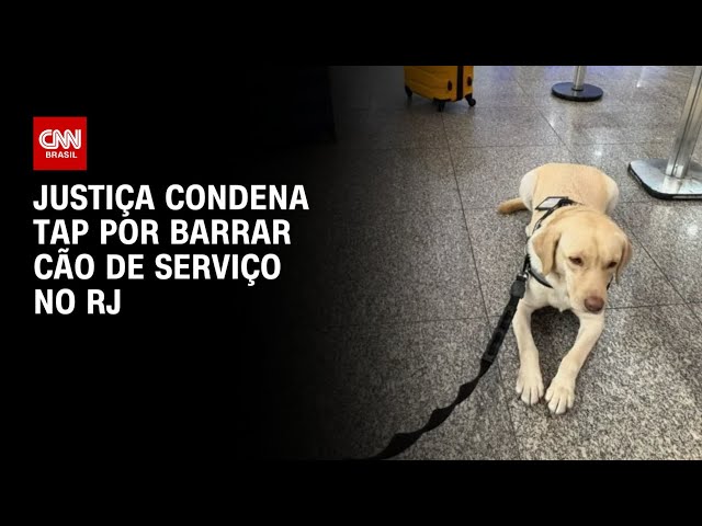 Justiça do RJ condena TAP a pagar R$ 60 mil por barrar embarque de cão de serviço | CNN 360º