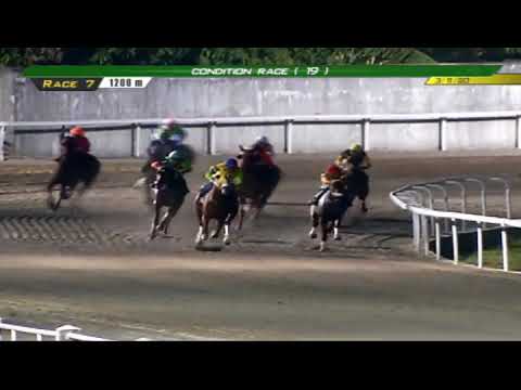 PRCI Race 7 - March 11, 2020