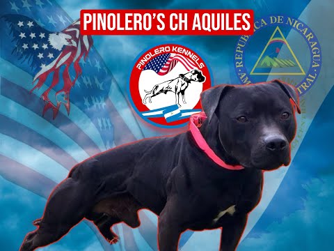 S1 EP1 Pinoleros CH. Aquiles