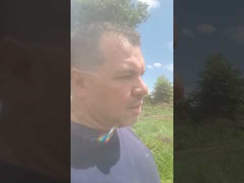 chácara Inhumas Araçu Goiás CF.26018 T 62 993309873