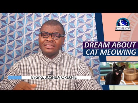 DREAM ABOUT CAT MEOWING - Spiritual Meaning of Cats