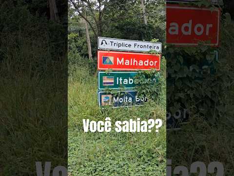 VOCÊ SABIA DISSO? LIMITES E TRE MALHADOR MOITA BONITA ITABAIA NA SERGIPE #shorys #viral #video