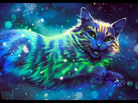 Fester x DebestCSP x Waliza - fałsz?