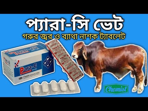 Para C vet Tablet||প্যারা-সি ভেট ট্যাবলেট এর কাজ||জ্বর ব্যাথার ঔষুধ ||mollahkrishitv ||