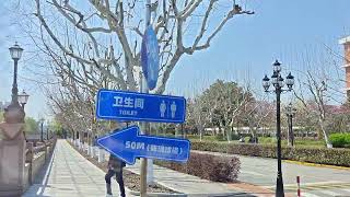 Way to My Dorm | SJTU | SHANGHAI