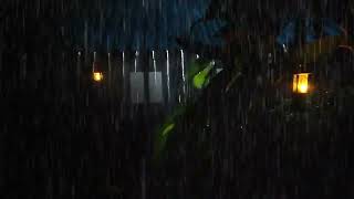 Rain Sounds for Sleeping 1 Hour thunder | Real Heavy Rainstorm & Mighty Thunder on Tin Roof