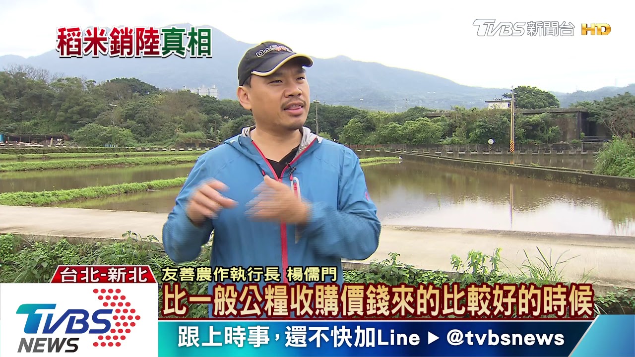 網友質疑稻米賤賣大陸　農委會否認：誤導視聽