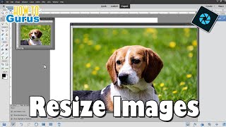 Resize Images the Right Way in Photoshop Elements