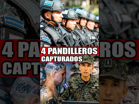 Cuatro cabecillas de pandillas fueron capturados en Colón La Libertad 🚨👮‍♂️ #elsalvador #nayibbukele