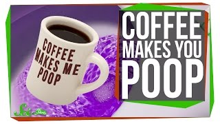 Why Does Coffee Make You Poop?