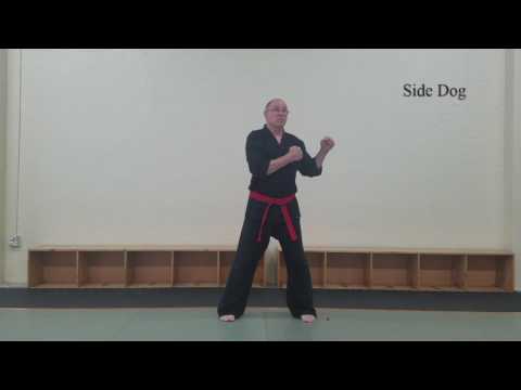 AMA Curriculum 01 Basic Stances