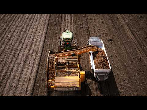 The $100 Billion Potato Industry: Why Idaho Dominates the Market