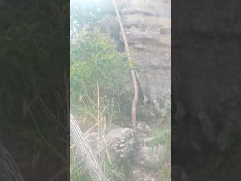Carrancas MG,pedra do Índio #diaadia#paidagem#
