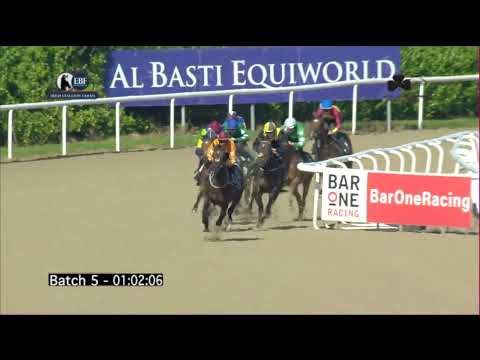 Irish EBF Barrier Trials 05 September 2023 - Batch 05