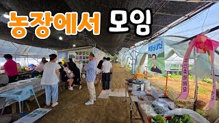 농장에서 가족모임 솔바위농원 실시간 생방