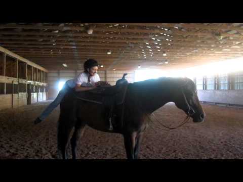 Me sliding off Ellie's butt!