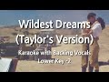 Wildest Dreams (Taylor's Version) (Lower Key -2) Karaoke with Backing Vocals