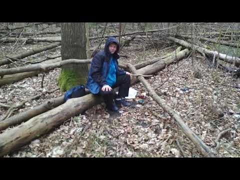 Nitro trip majora 10 03 2020720P HD