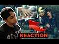 5 Seconds of Summer - Youngblood | REACTION + ANALYSIS 5 Seconds of Summer - Youngblood | REACTION + ANALYSIS