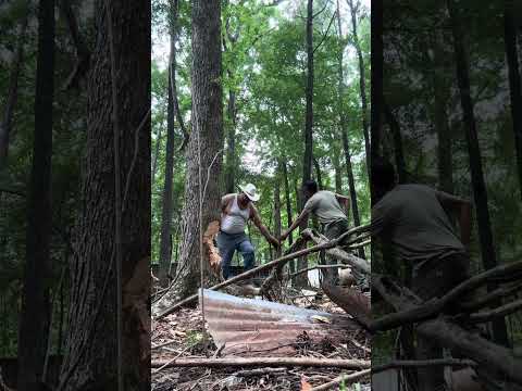 Clearly land for the goat habitat  pt. 1