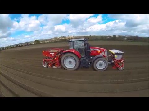 Laburnum Farm planting potatoes