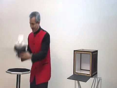 Everything to 4 Dove Cages by Tora Magic