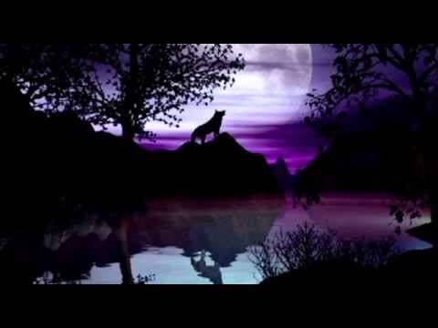 download lagu mp3 mp4 Letra Type, download lagu Letra Type gratis, unduh video klip Letra Type