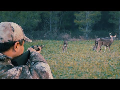 Deer and Giant Hog Hunting