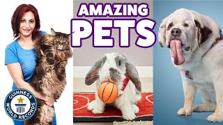Amazing pets - Guinness World Records