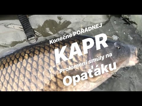 TEST BOILIES™ DECATHLON CAPERLAN WELLMIX - KONEČNĚ POŘÁDNEJ KAPR - Prolomení smůly na Opatovickém