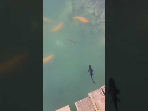 disfrutando del día en chajari entre rios