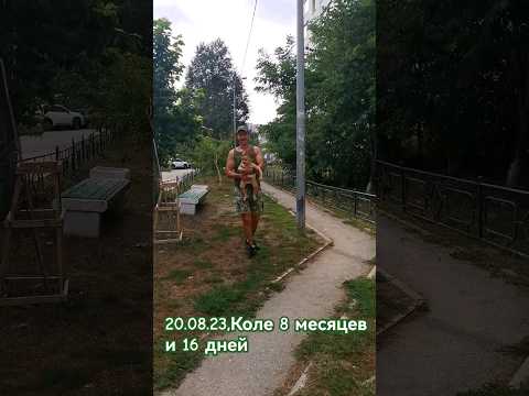 Коля и голуби 🕊️🕊️🕊️