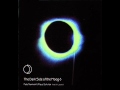 Pete Namlook & Klaus Schulze - The Dark Side of the Moog 6 [The Final DAT] [full album]