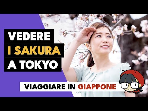 La magia dei Sakura a Tokyo: i 7 luoghi più belli da visitare (con mappe)
