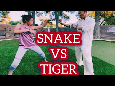 kung fu snake for beginners | tiger vs snake